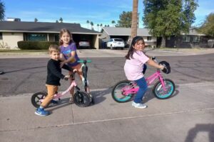 Absalon castellano dominguez chis mx