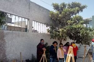 Adventista del Séptimo Día Cd Cuauhtémoc