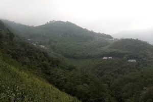 Agua de Hierba Santa