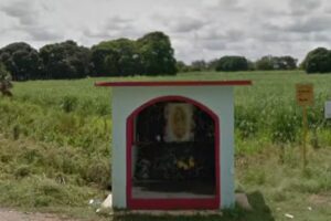 Altar de nuestra se&ntilde;ora de Guadalupe