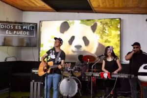 Bamb&uacute; Comunidad