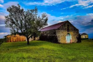 Benito Ju&aacute;rez