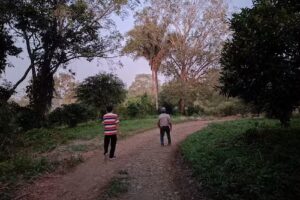 Buenos Aires acateno