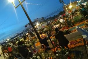 Calle Tulipan Esq Con Calle Romero Barrio De San Ignacio Mixquic Tlahuac Cdmx