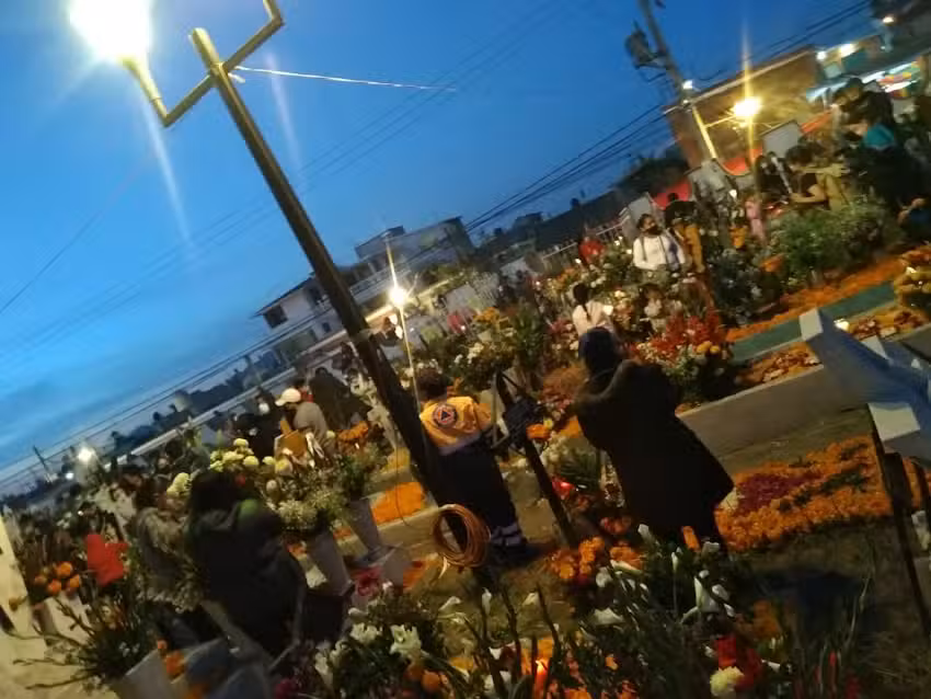 Calle Tulipan Esq Con Calle Romero Barrio De San Ignacio Mixquic Tlahuac Cdmx