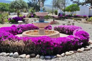 Calvary Chapel Punta Banda