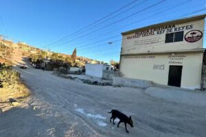 Calvary Chapel Rey de Reyes