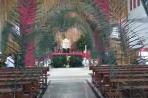 Capellan&iacute;a el Divino Rostro