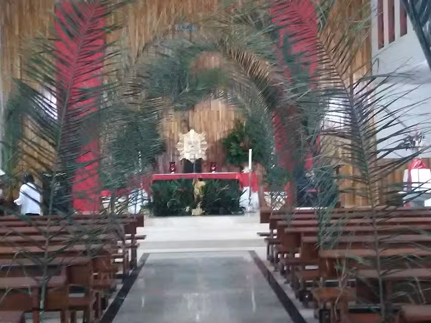 Capellan&iacute;a el Divino Rostro