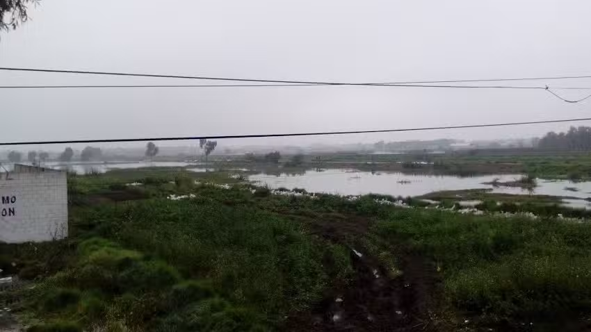Capilla a la Virgen de Guadalupe y a San Judas Tadeo