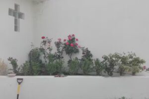 Capilla a San Judas Tadeo