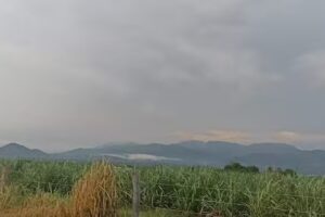 Capilla &ldquo;Carrera por la Paz&rdquo;