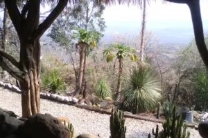 Capilla Crucero de Amatl&aacute;n