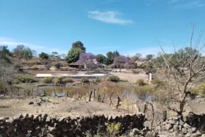 Capilla De Fray Dominguez