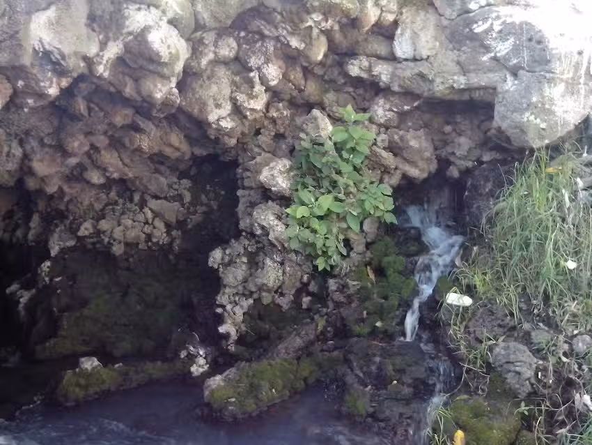 Capilla De Guadalupe&ntilde;o