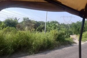 Capilla de la colonia el Rocio