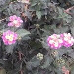 Capilla de la Preciosa Sangre de Cristo