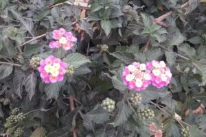 Capilla de la Preciosa Sangre de Cristo