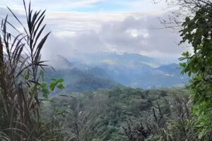 Capilla de la virgen