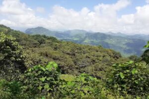 Capilla de la Virgen de Guadalupe Zacatilihuic