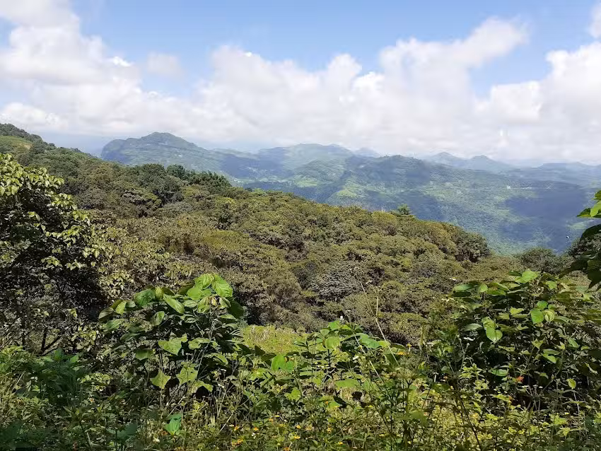 Capilla de la Virgen de Guadalupe Zacatilihuic