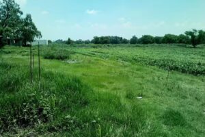 Capilla De La Virgen De La Candelaria