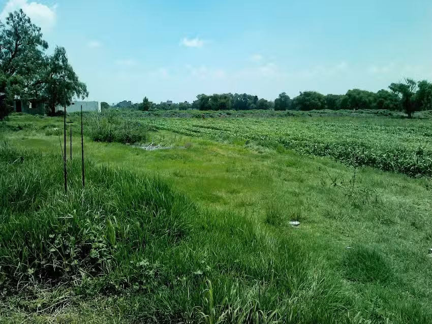 Capilla De La Virgen De La Candelaria