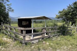 Capilla de Lupe y Juan