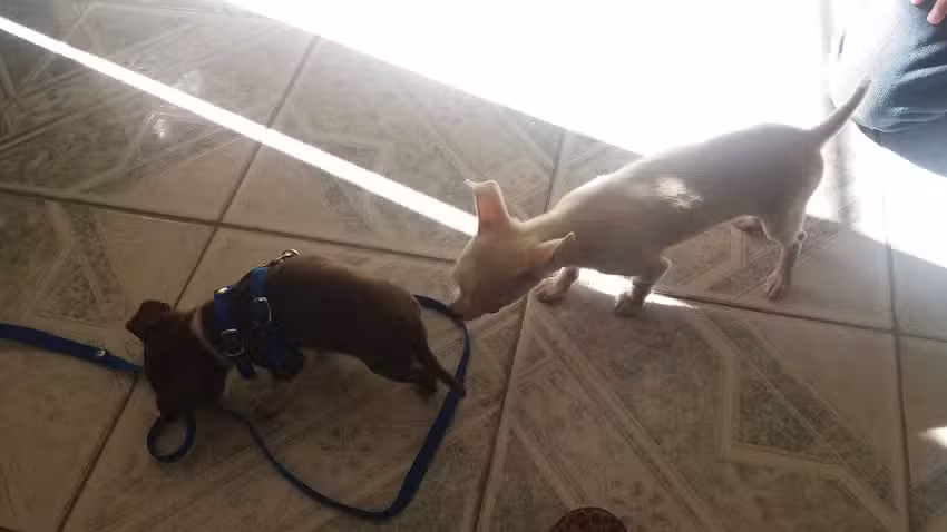 Capilla de Nuestra Se&ntilde;ora del Carmen