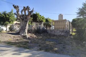 Capilla de Nuestra Señora Virgen de Guadalupe