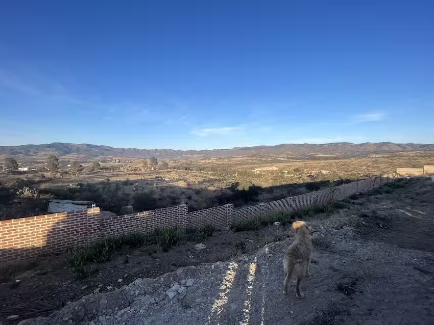 Capilla de Nuestro Se&ntilde;or de la Agonia
