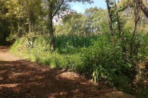 Capilla de paramo Se&ntilde;or de la Expiracion