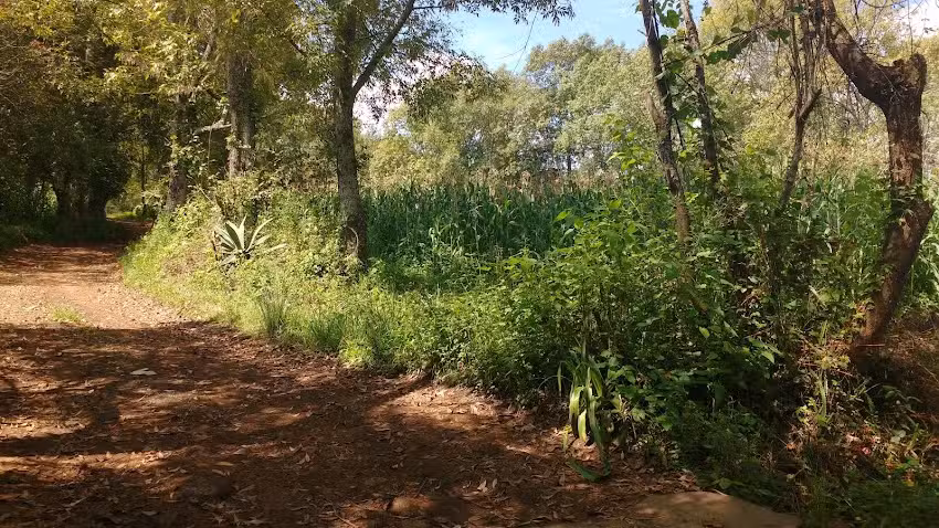 Capilla de paramo Se&ntilde;or de la Expiracion