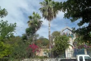 Capilla De Rancho Viejo