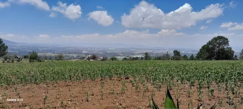 Capilla De Rosa De Castilla