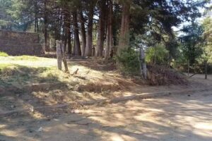 Capilla de San Bartolo