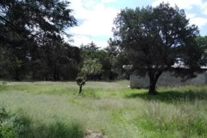 Capilla de San Gregorio, San Diego Metepec
