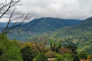Capilla de San Lorenzo