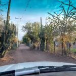 Capilla de San Martin Caballero