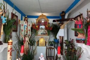 Capilla De San Miguel Arcangel Ejido La Gavia