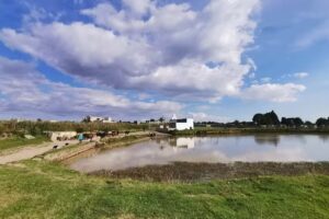 Capilla de San Pedro