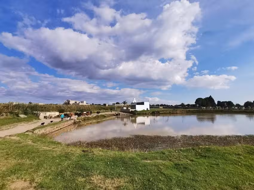 Capilla de San Pedro