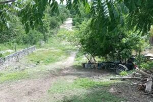 Capilla De Santa Cecilia