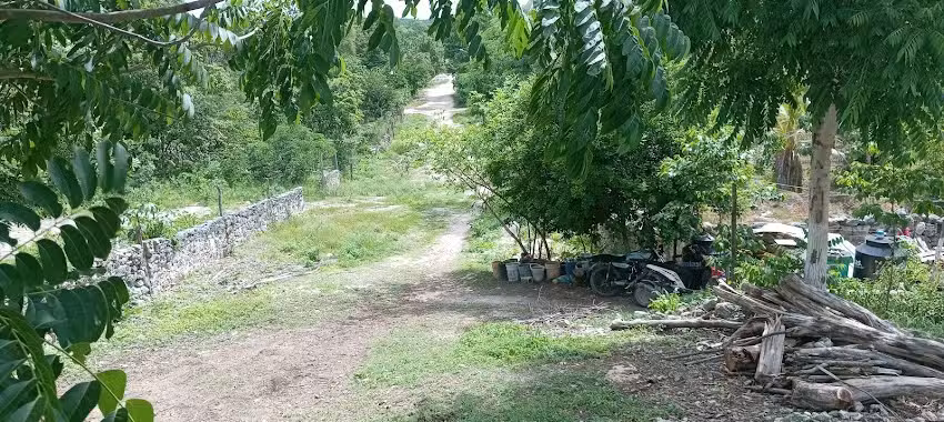 Capilla De Santa Cecilia