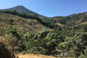 Capilla de Satiago Ap&oacute;stol