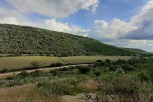 Capilla del Chave&ntilde;o