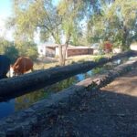 Capilla del Ojo de Agua