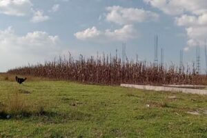 CAPILLA EL SE&Ntilde;OR DE LOS MILAGROS,LA LOMA