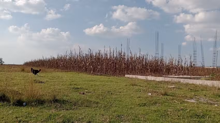 CAPILLA EL SE&Ntilde;OR DE LOS MILAGROS,LA LOMA