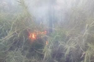 Capilla Fraccionamiento Vivir